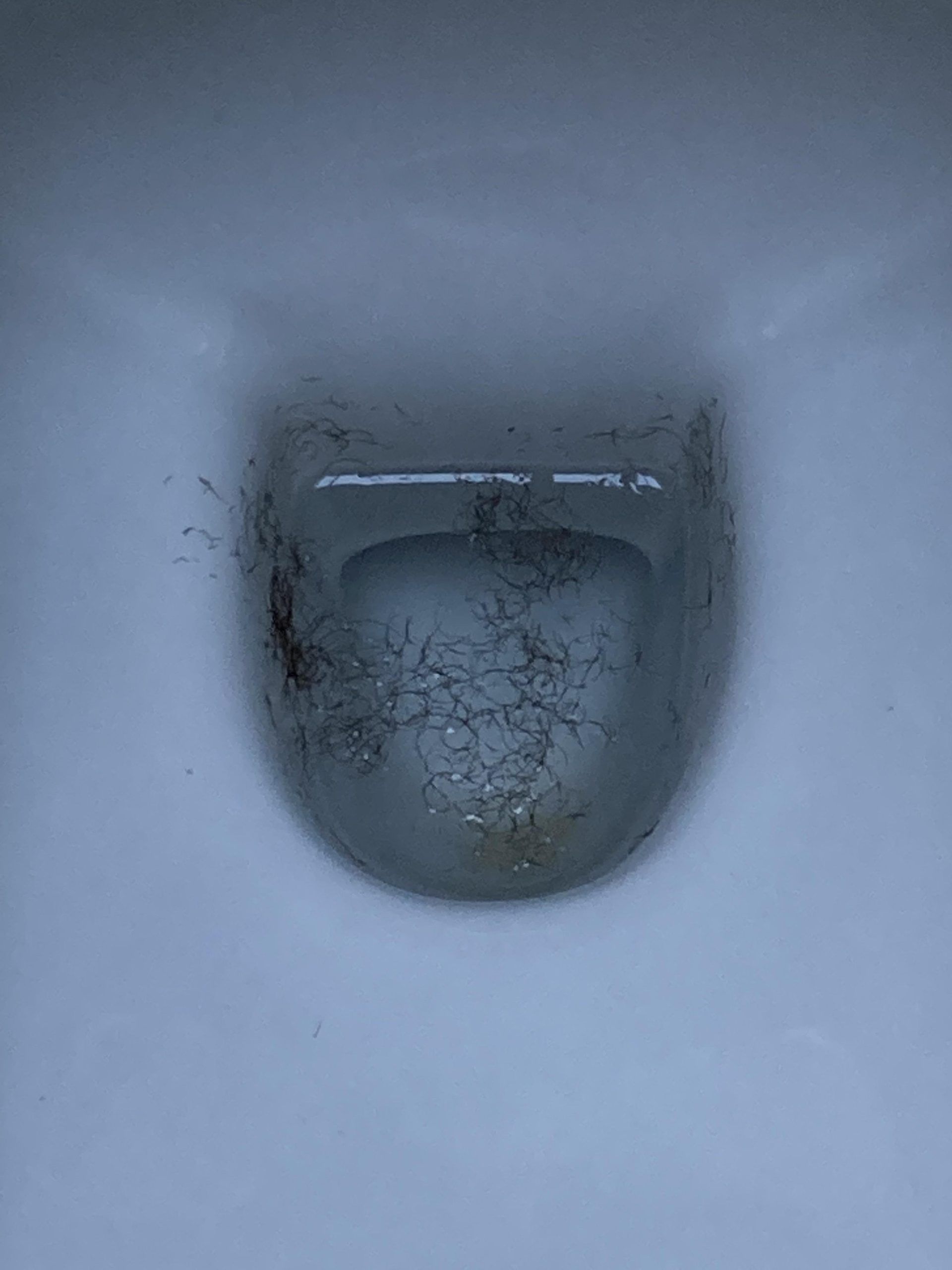 Μην-πετάτε-τις-τρίχες-σας-στην-τουαλέτα-αυτός-είναι-ο-λόγος Μην-πετάτε-τις-τρίχες-σας-στην-τουαλέτα-αυτός-είναι-ο-λόγος