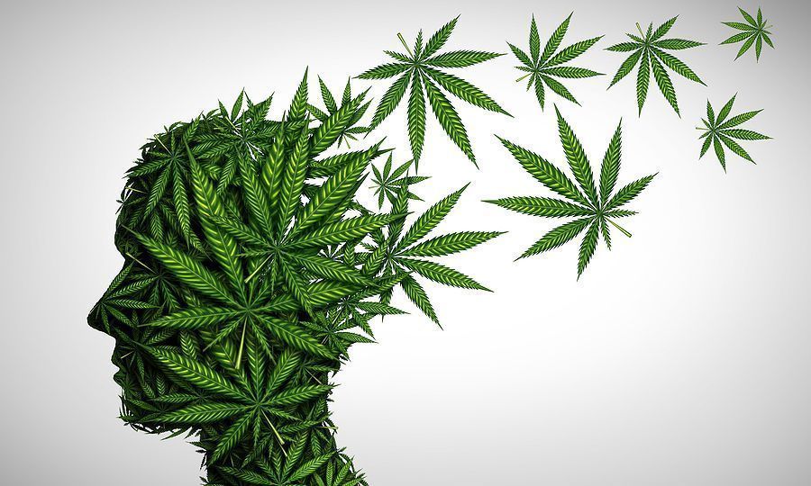 επιπτώσεις-της-χρήσης-κάνναβης-στην-λειτουργία-του-εγκεφάλου επιπτώσεις-της-χρήσης-κάνναβης-στην-λειτουργία-του-εγκεφάλου