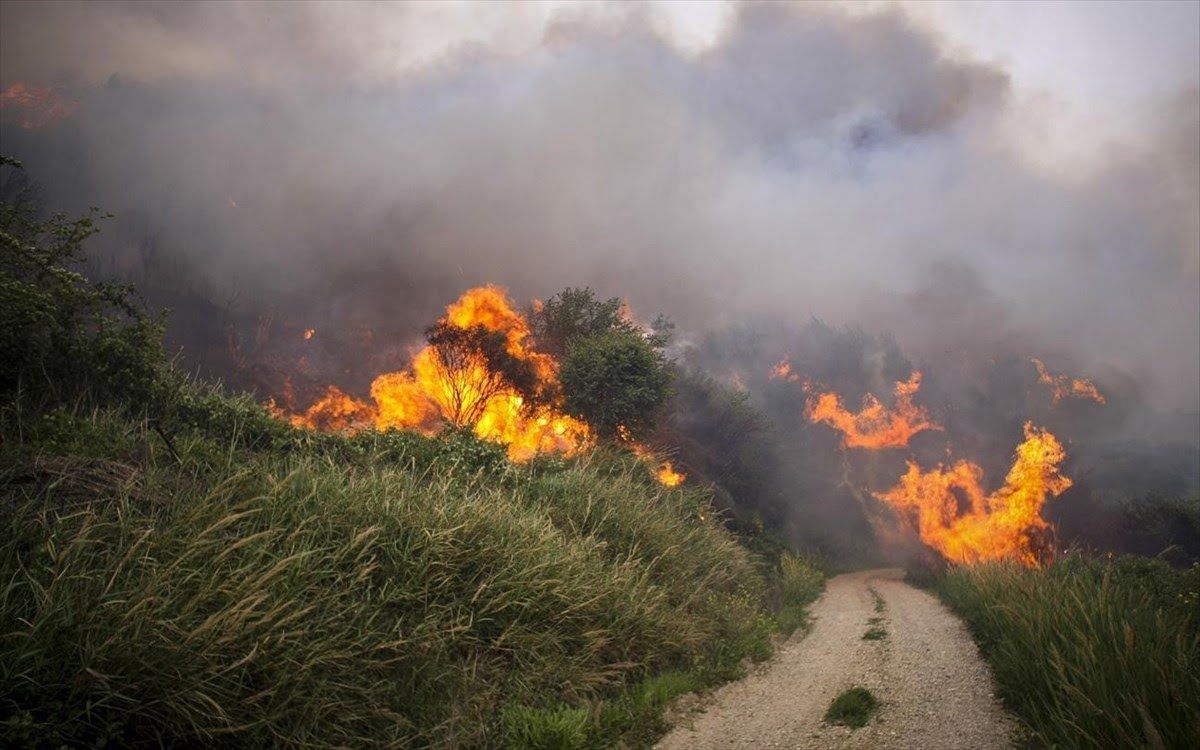 Ικαρία-1993-Οι-φονικές-πυρκαγιές-και-η-αυτοθυσία-τριών-νέων