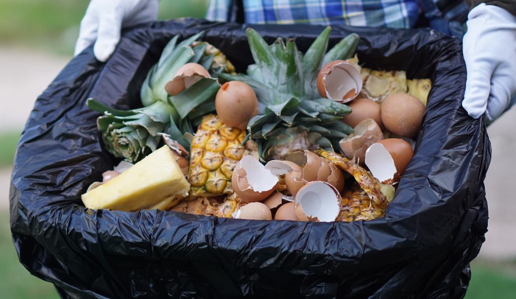 Κομποστοποίηση-στο-σπίτι-διαδικασία Κομποστοποίηση-στο-σπίτι-διαδικασία