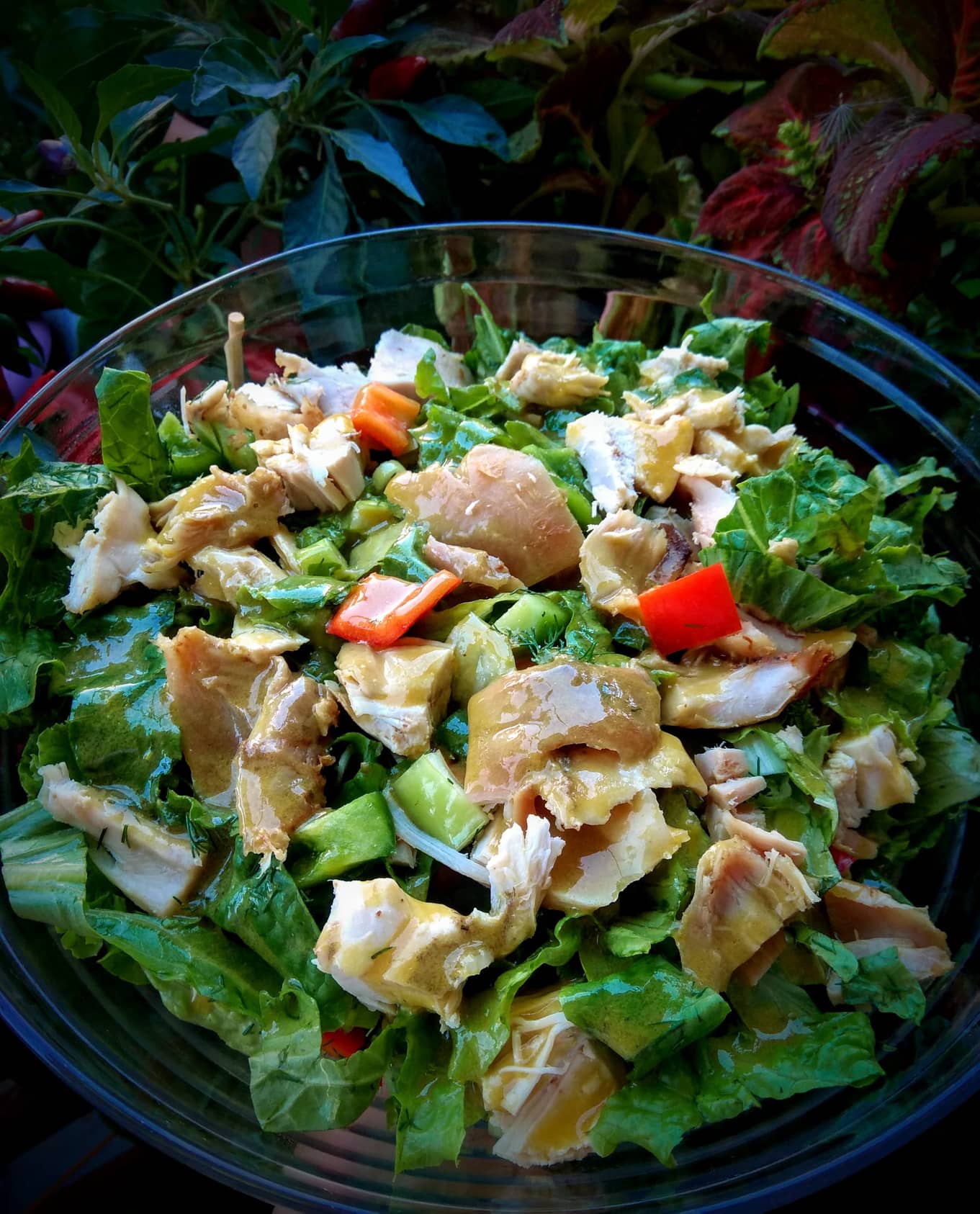 Πράσινη-σαλάτα-με τόνο-συνταγή-