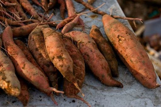 10-τρόφιμα-που-αναγεννώνται-από-τα-σκουπίδια 10-τρόφιμα-που-αναγεννώνται-από-τα-σκουπίδια