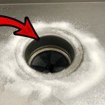 Κατσαρίδες και βακτήρια στις αποχετεύσεις: Ρίξτε αλάτι και απαλλαγείτε οριστικά