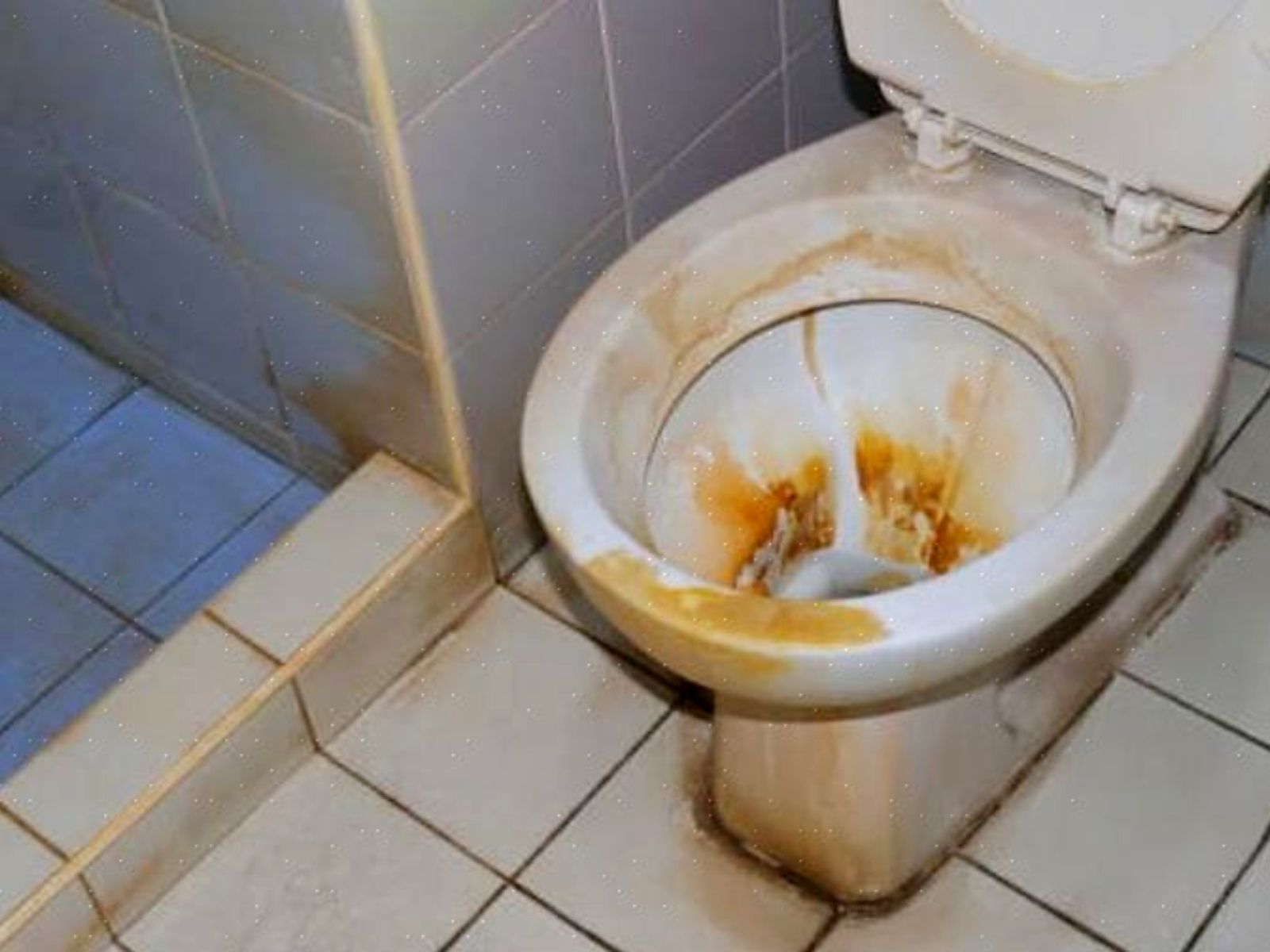 Το οικολογικό μείγμα που αντικαθιστά την χλωρίνη και καθαρίζει λευκαίνει και απολυμαίνει