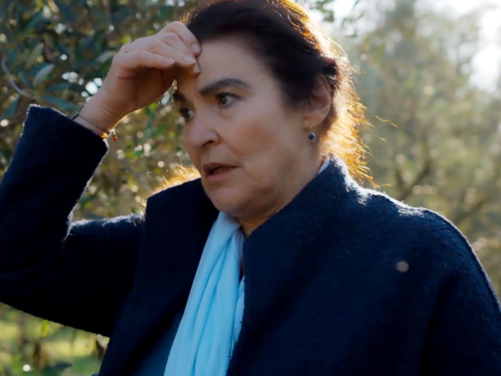 Η-Γη-της-Ελιάς-Μαργαρίτα Η-Γη-της-Ελιάς-Μαργαρίτα