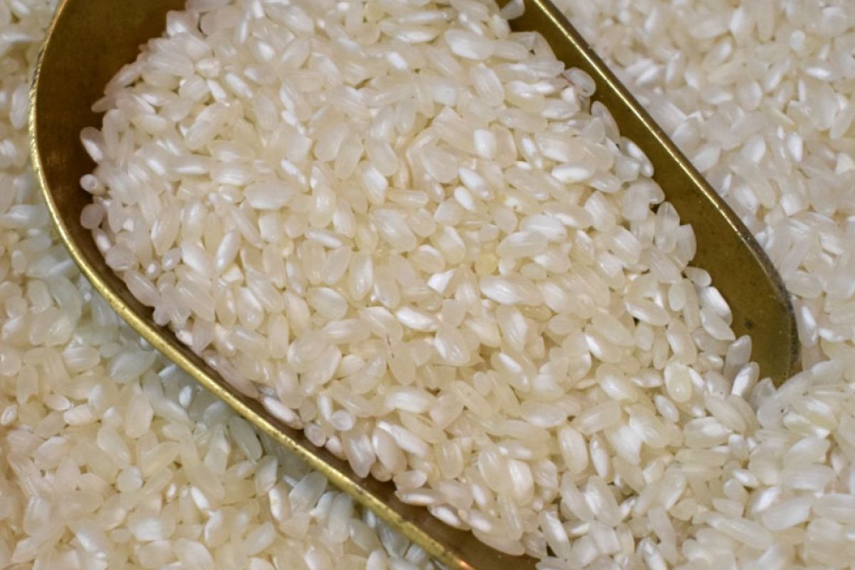 Ανακαλείται ρύζι – Είναι μολυσμένο με φυτοφάρμακα και εντομοκτόνα