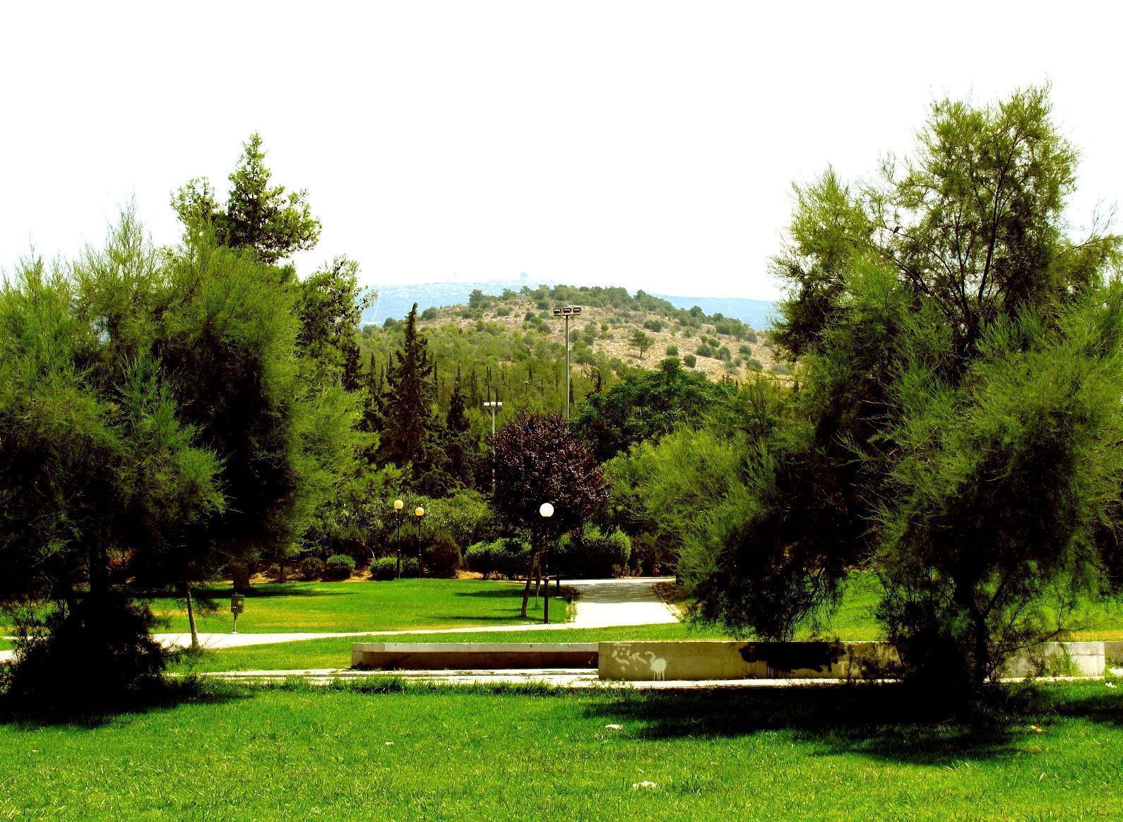 Καθαρά-Δευτέρα-2025-τα-ιδανικά-μέρη-στην-Αττική Καθαρά-Δευτέρα-2025-τα-ιδανικά-μέρη-στην-Αττική