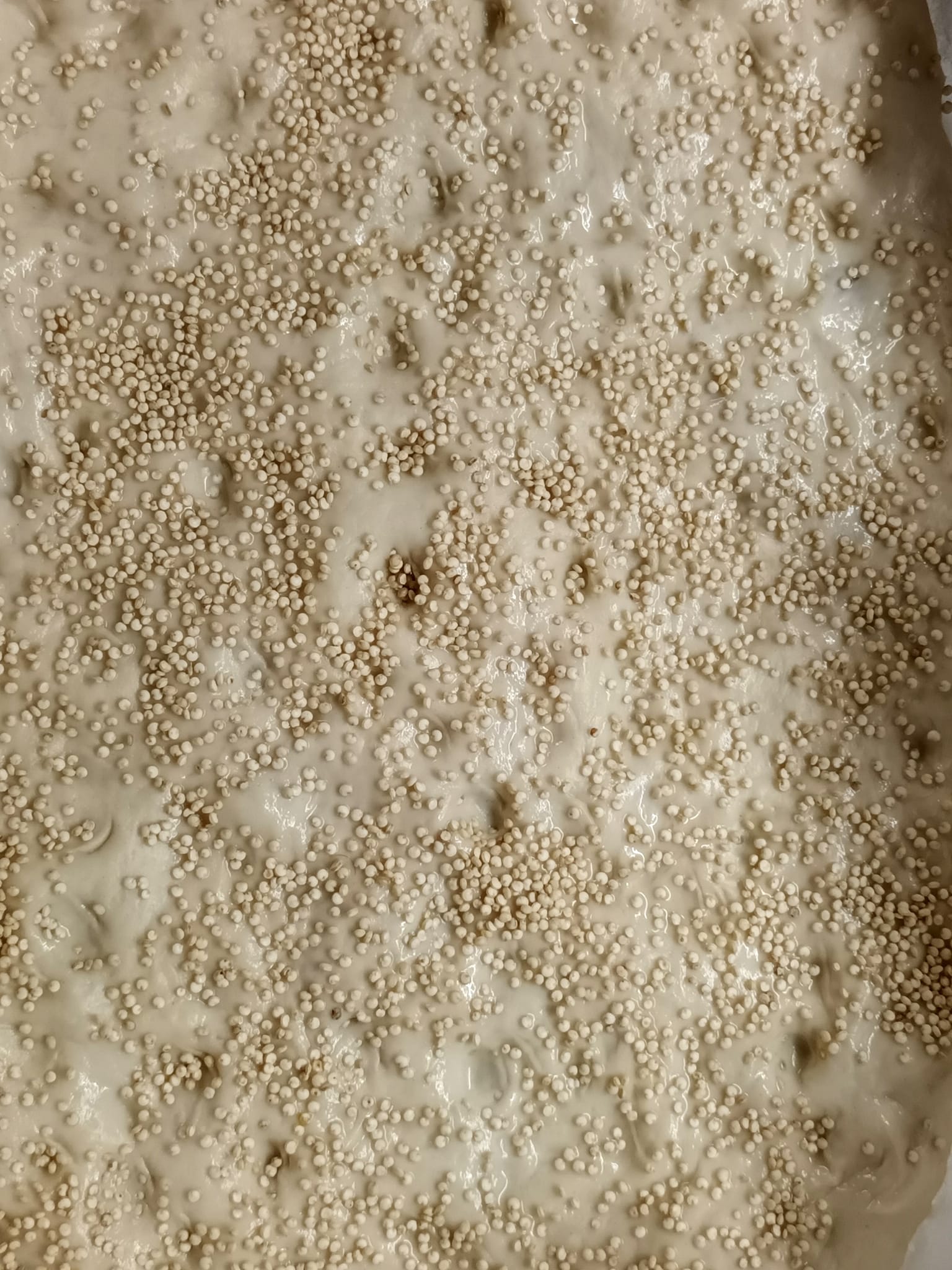 σαρακοστιανές-λαγάνες-με-λαχανικά-συνταγή-