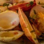 Τροφική δηλητηρίαση από όστρακα- Αναλυτικά όλα τα Συμπτώματα και οι τρόποι πρόληψης