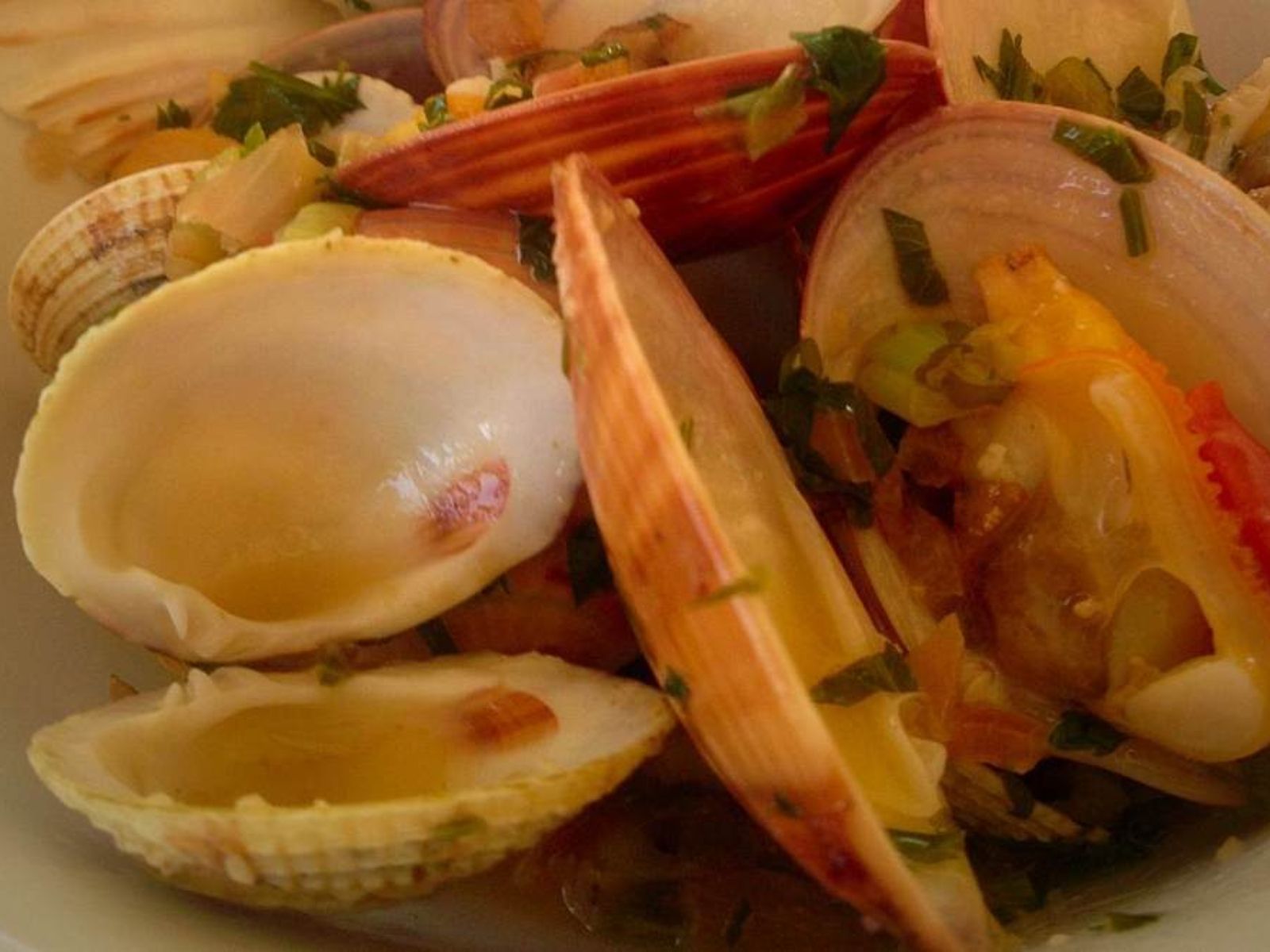 Τροφική δηλητηρίαση από όστρακα- Αναλυτικά όλα τα Συμπτώματα και οι τρόποι πρόληψης