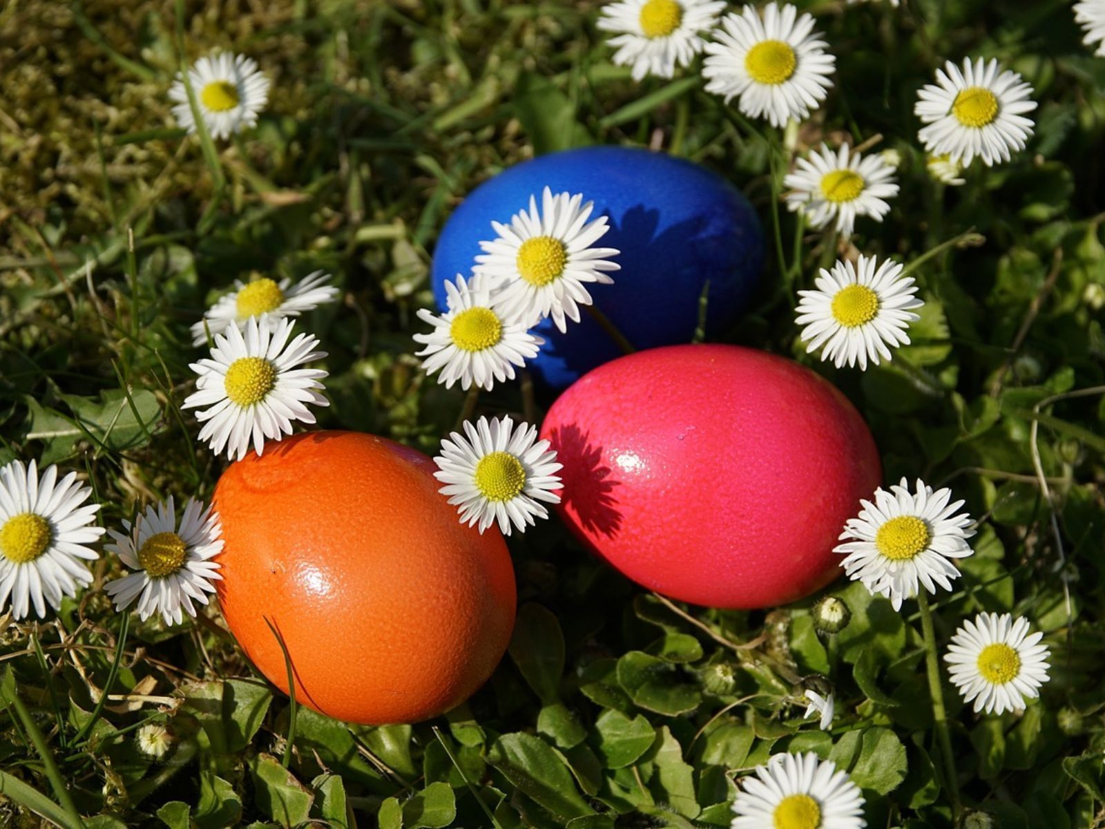 Απρίλιος 2025: Πότε ξεκινά η Μ. Εβδομάδα, ποιοι γιορτάζουν και ποιες παγκόσμιες ημέρες τιμούμε