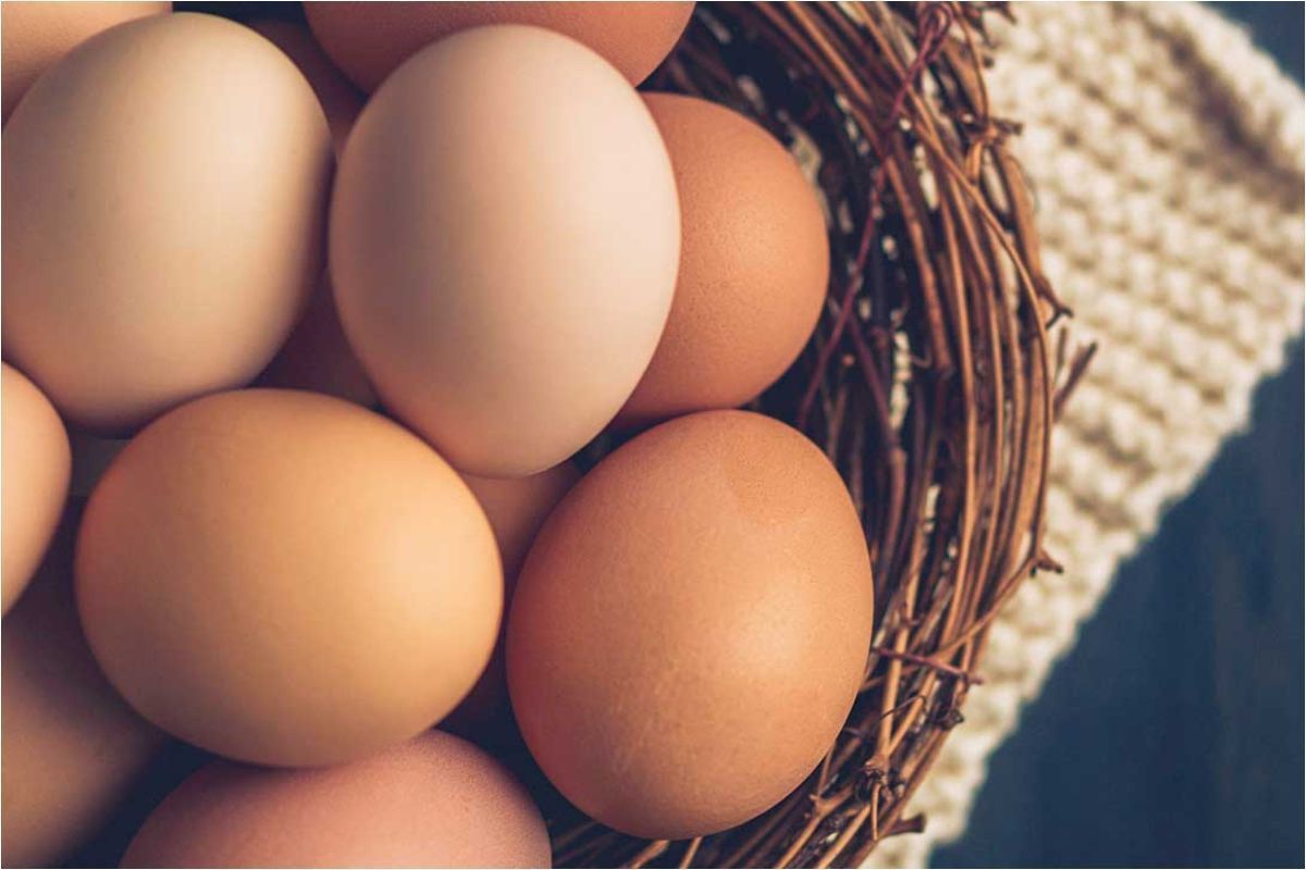 Ανακαλούνται αυγά -Βρέθηκε σαλμονέλα