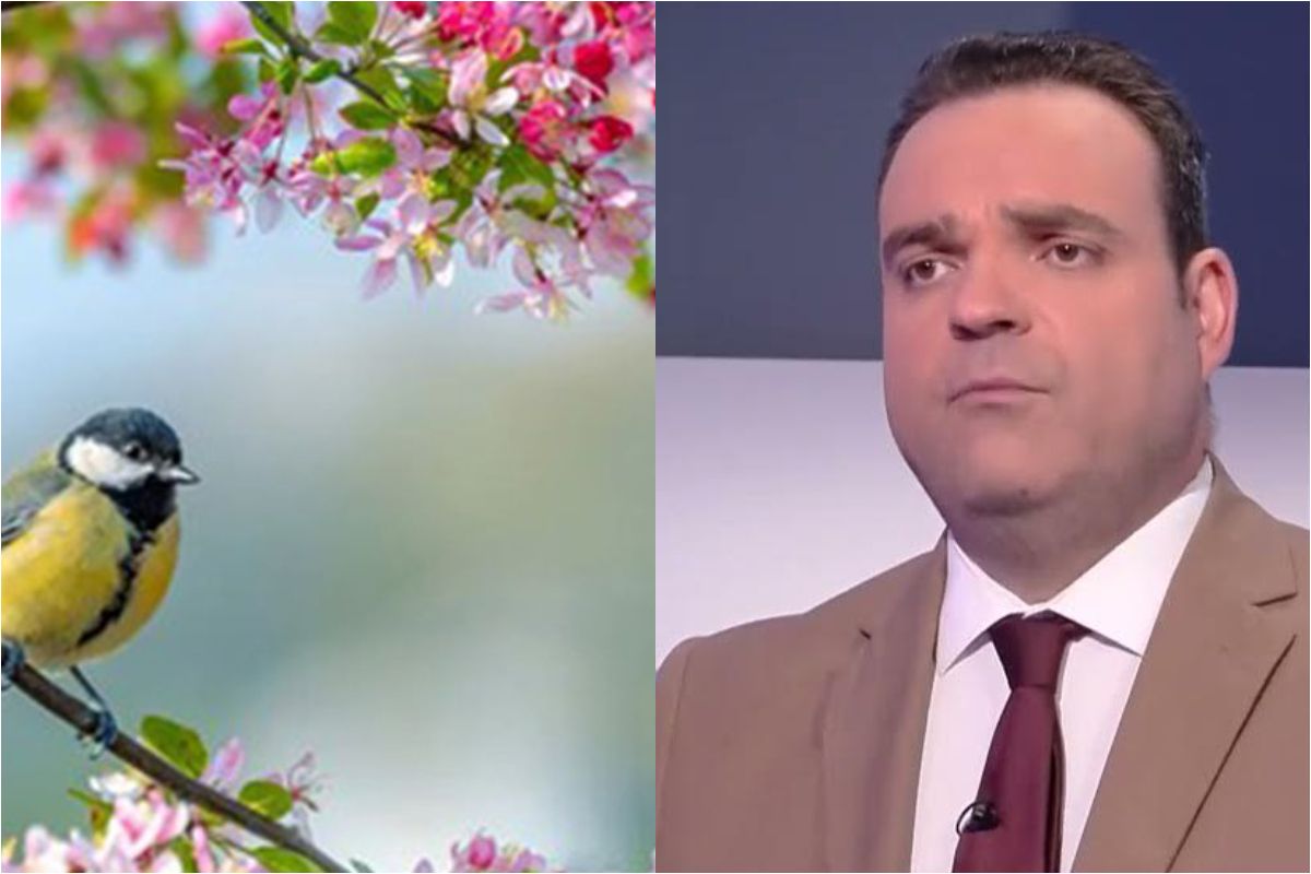 Κλέαρχος Μαρουσάκης : Tο πρώτο χτύπημα της άνοιξης έρχεται  – 19-22 βαθμούς Κελσίου σε πολλές περιοχές της χώρας