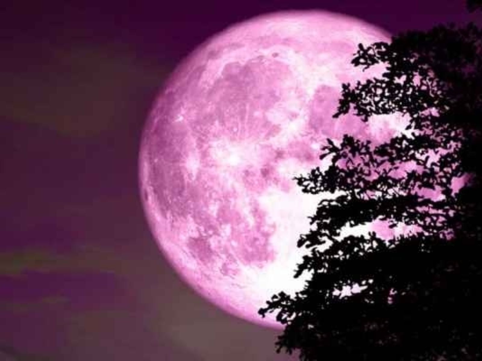 Ροζ Πανσέληνος 2025: Πότε θα το δούμε στον ουρανό μας