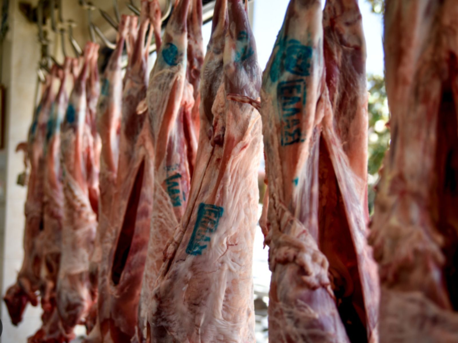 ΕΦΕΤ: Πως ξεχωρίζουμε το ελληνικό κατσίκι ή αρνί- Τι δείχνουν οι σφραγίδες