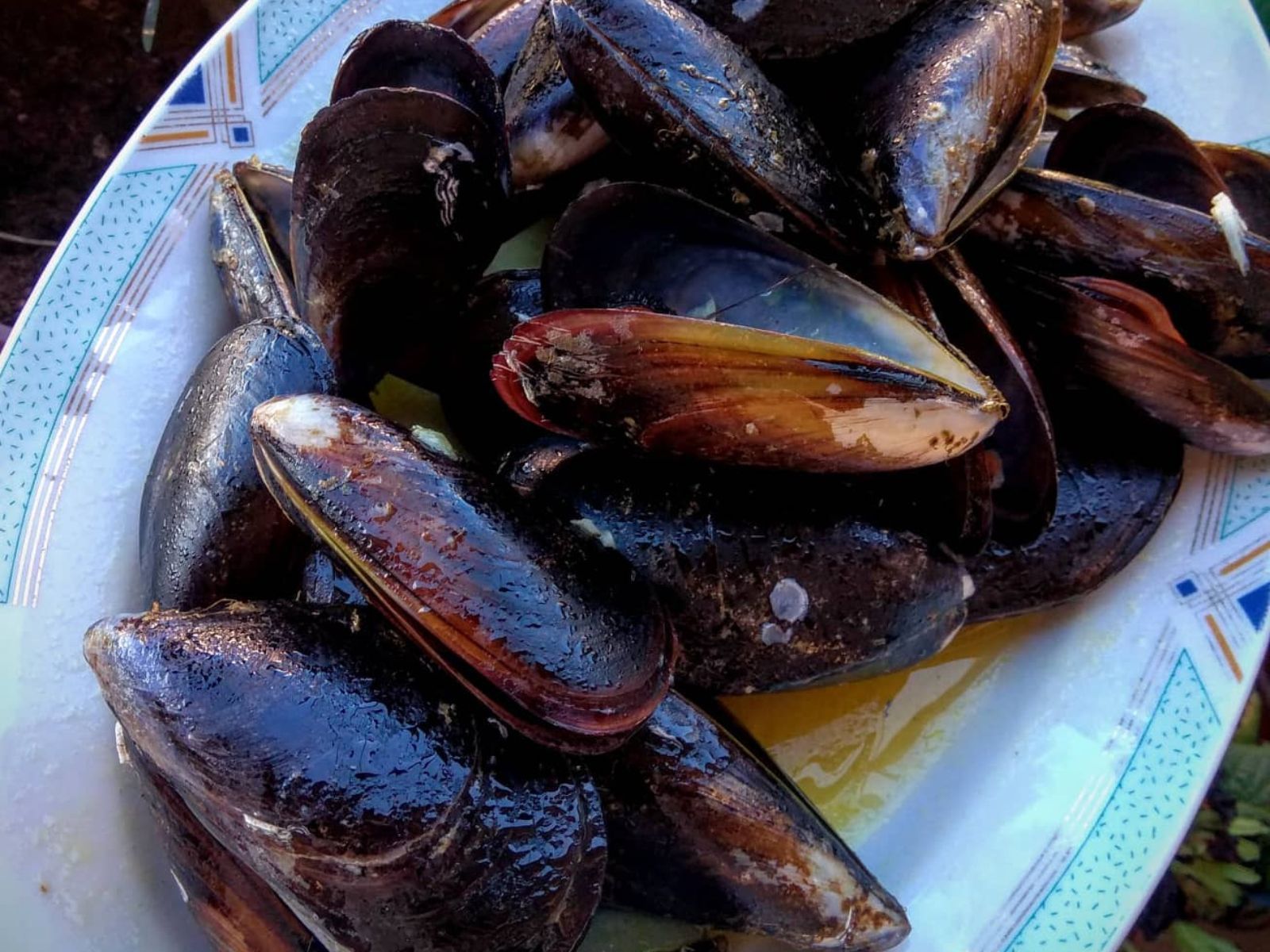 μύδια αχνιστά-συνταγή-