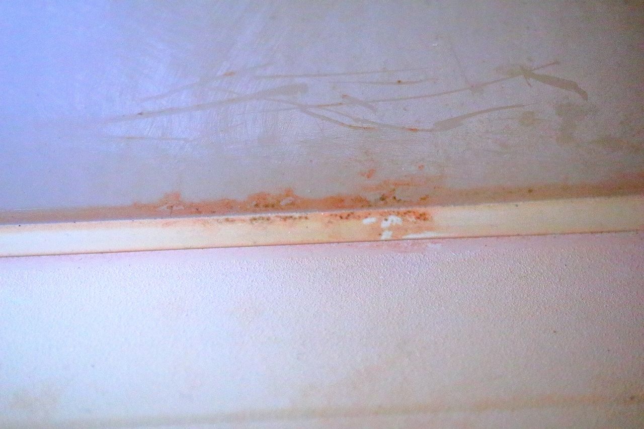 Ροζ μούχλα στο μπάνιο: Γιατρός προειδοποιεί “Κίνδυνος για την υγεία”