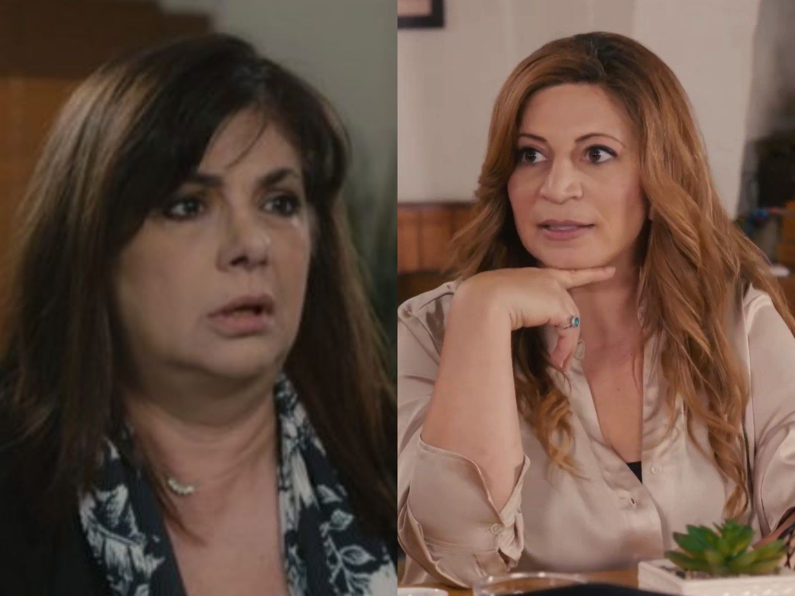 Η Γη της Ελιάς: Η Κούλα και η Ασπασία πιέζουν την Βασιλική να τα ξαναβρεί με την Αρετή