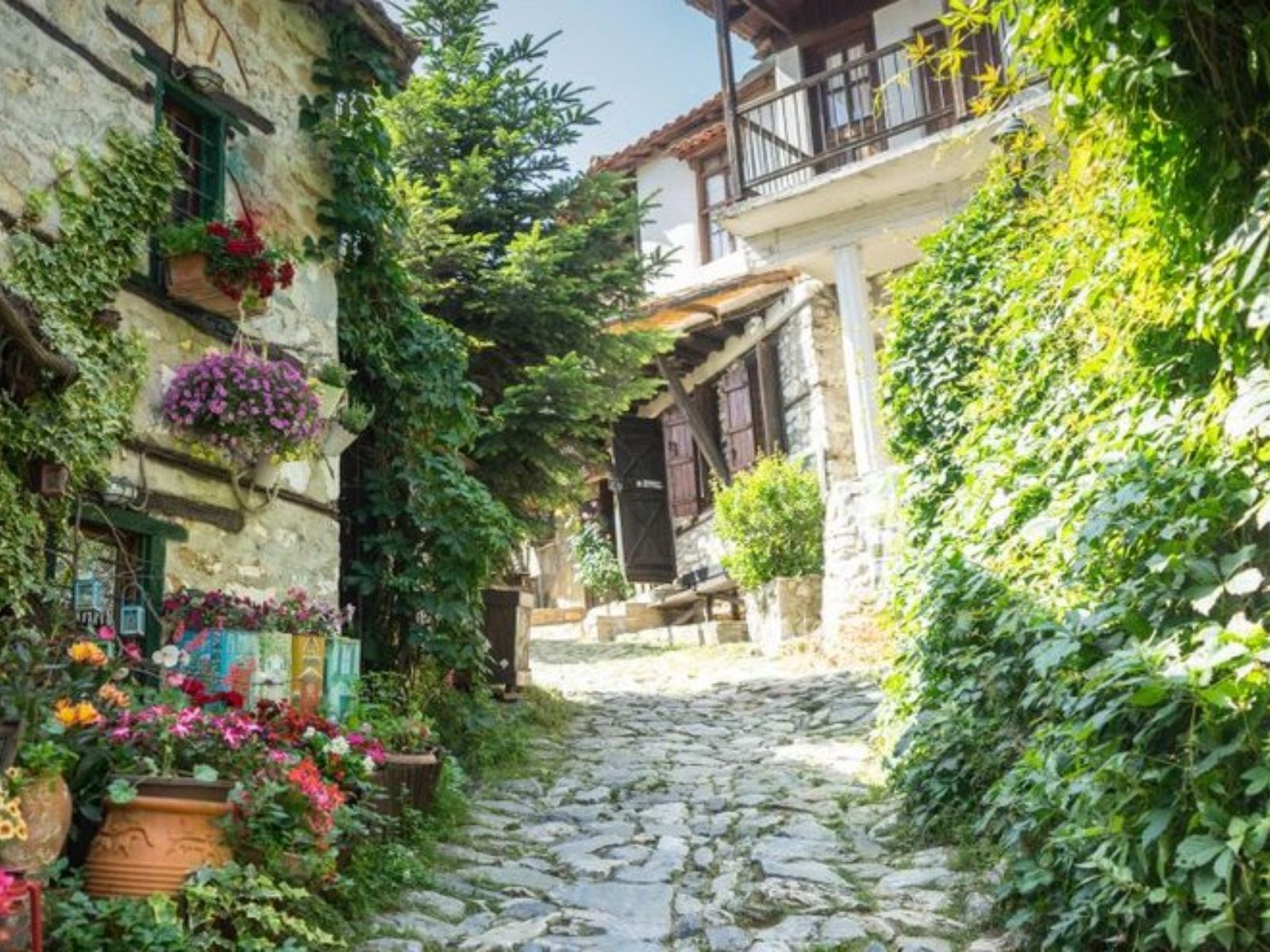 Παλαιός Παντελεήμονας-Πιερία-