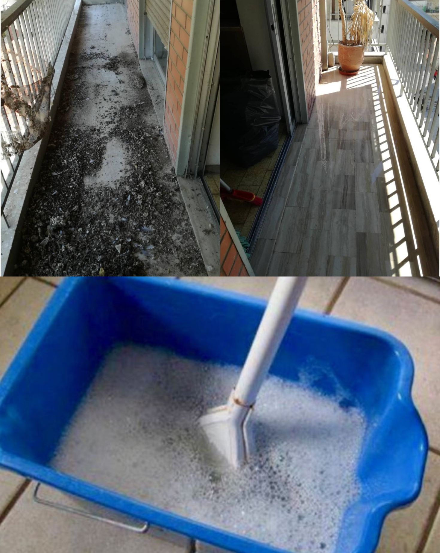 Ξεραμένες κουτσουλιές στο μπαλκόνι: Το ιδανικό κόλπο για να φύγουν στο λεπτό