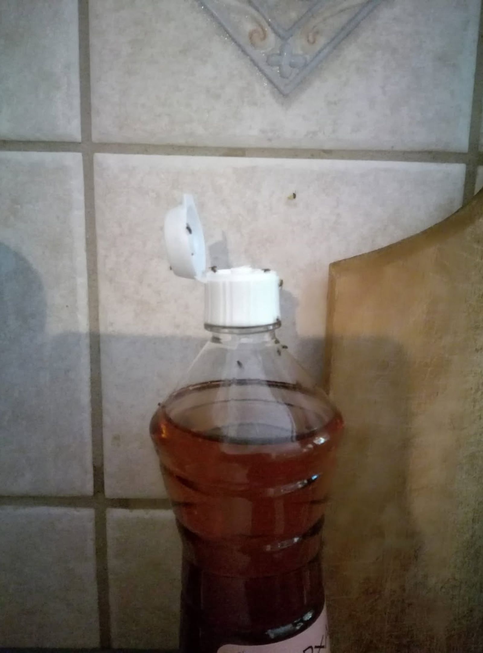 Μυγάκια-μπεκρήδες στη κουζίνα: Το σπιτικό κόλπο που τα εξαφανίζει άμεσα