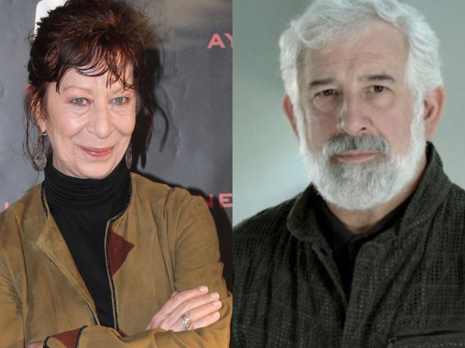 Σοκάρει η Μαρία Κατσανδρή για τον Πέτρο Φιλιππίδη- “Τον έσπασε στο ξύλο μπροστά στα μάτια μας”