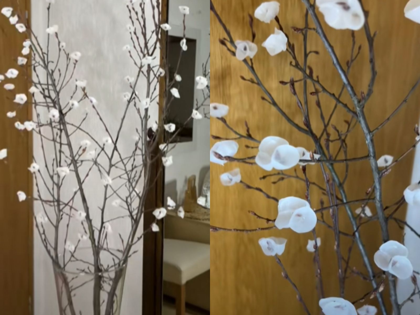 Φέρε την Άνοιξη στο σπίτι φτιάχνοντας DIY φυτό εσωτερικού χώρου με κλαδιά και λιωμένο κερί