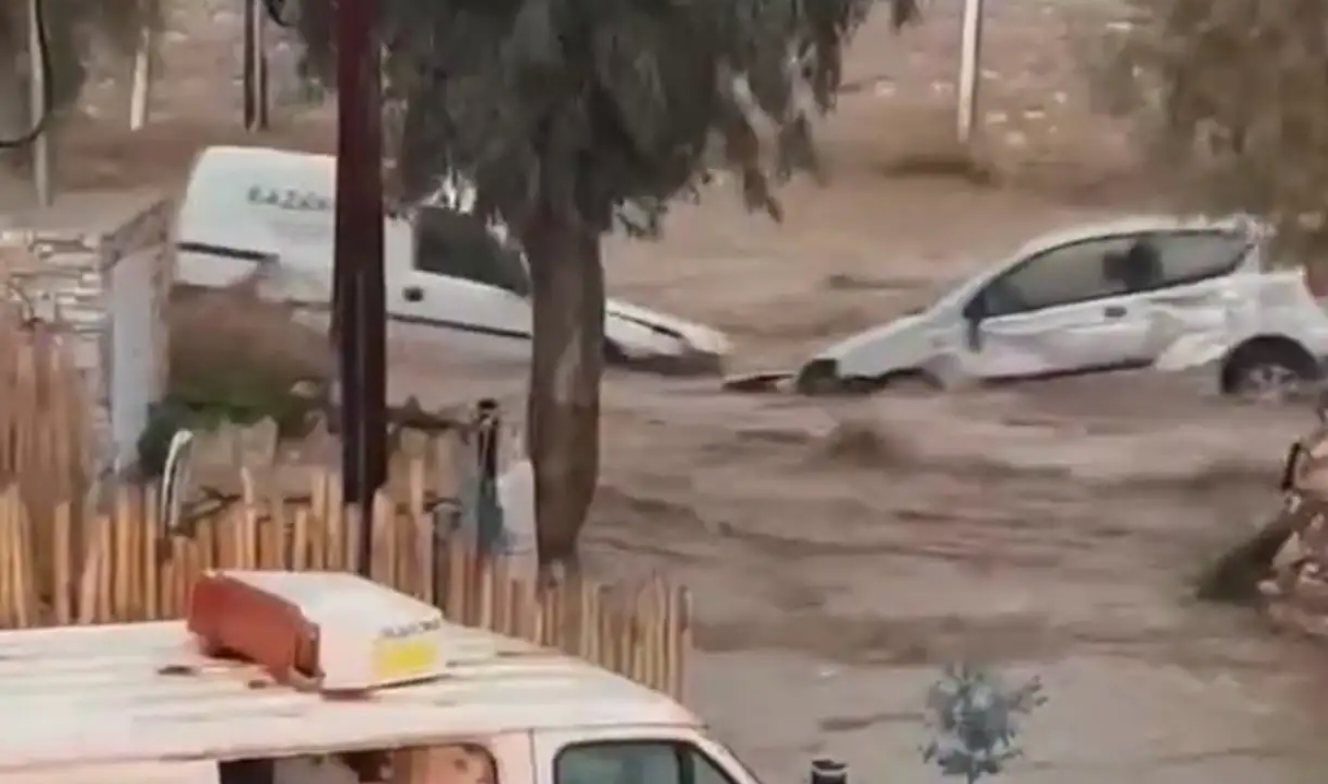 Screenshot - 2025-04-01T085418.511