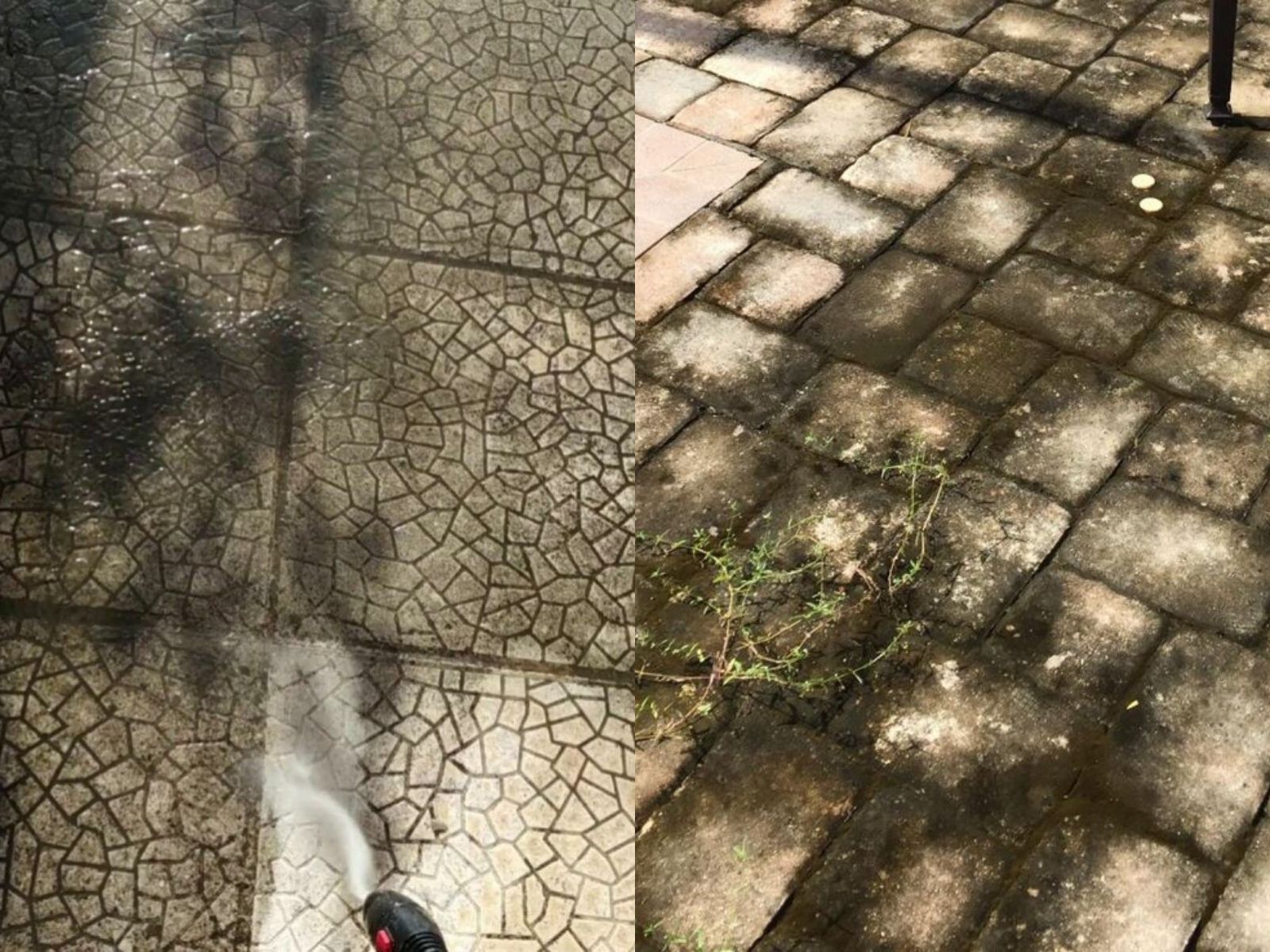 Αναλυτικός οδηγός για να κάνεις την αυλή και το μπαλκόνι σου να λάμψουν για την Κυριακή του Πάσχα – Plus κόλπα για το ασβέστωμα