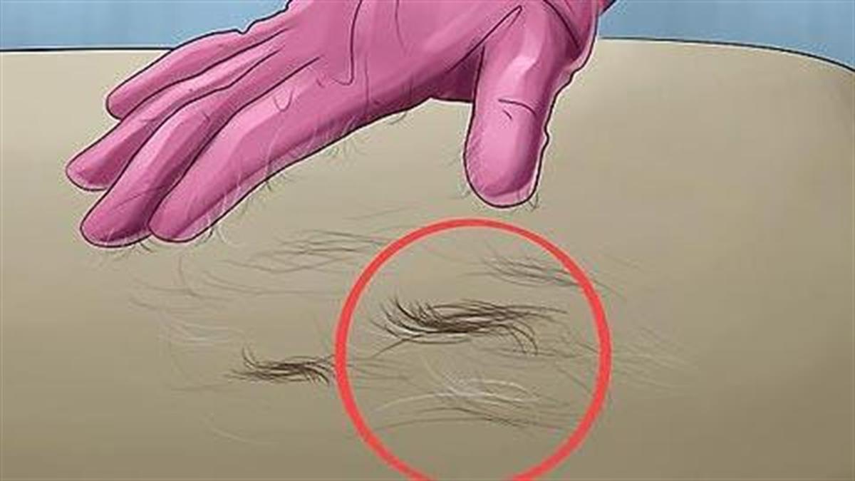 Τρίχες από κατοικίδια σε καναπέδες, πολυθρόνες, καλύμματα και πάτωμα – Όλα τα έξυπνα tips να απαλλαγείς ανέξοδα