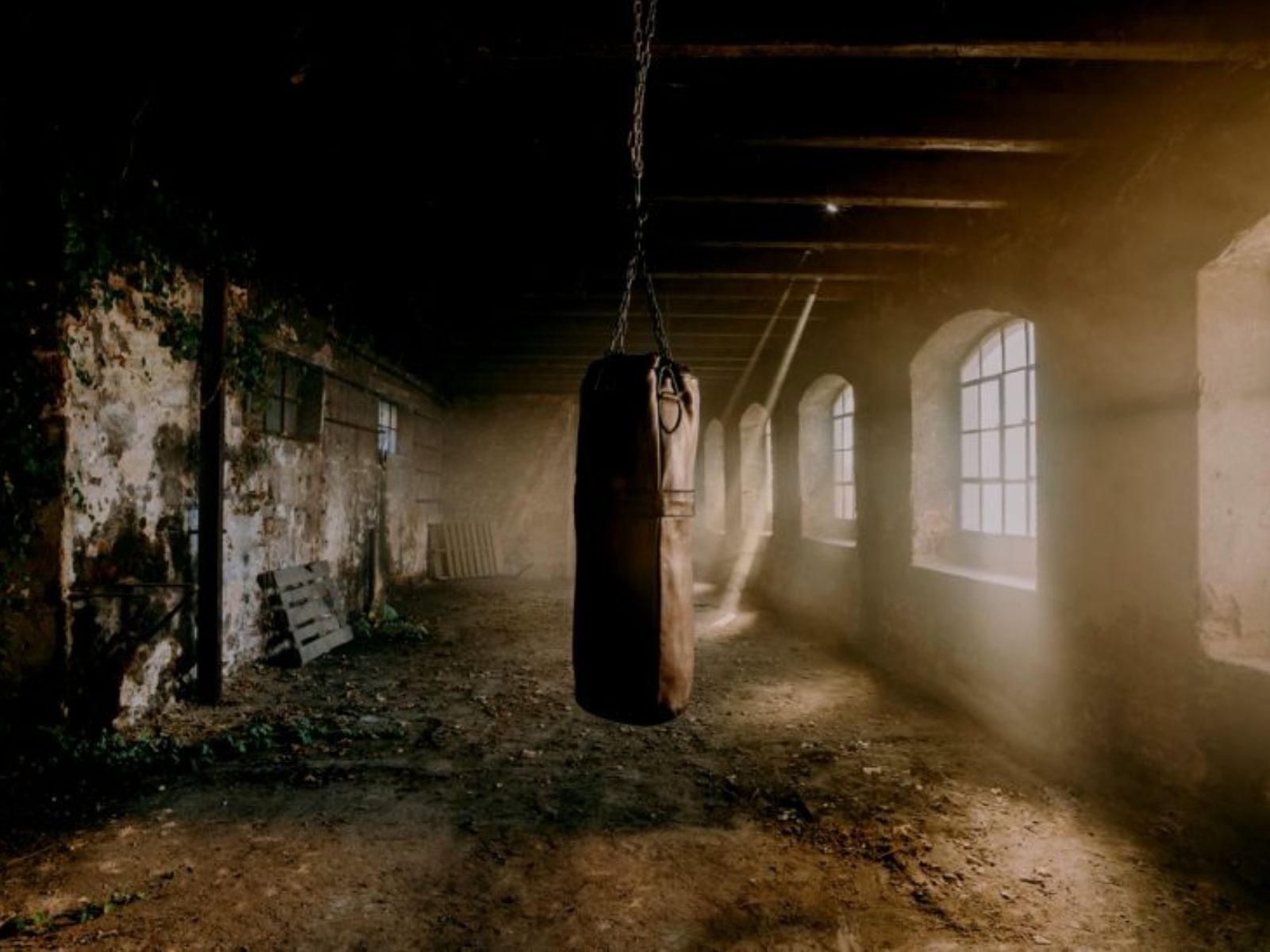 Αστρολογικές προβλέψεις Άση Μπήλιου: Η Αφροδίτη επιστρέφει σε ορθή πορεία από 13/4 και φέρνει μεγάλες αλλαγές σε όλα τα ζώδια