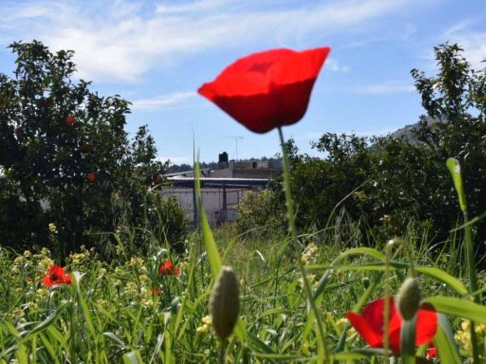 Καιρός Μεγάλη Εβδομάδα: Από Μ. Δευτέρα αλλάζει τελείως το σκηνικό- Τι μας περιμένει μέχρι τη Κυριακή του Πάσχα