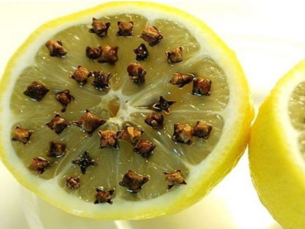 Τα σπιτικά εντομοαπωθητικά για να κρατήσετε μακριά τις μύγες από το αρνί και τα κρέατα την Κυριακή του Πάσχα