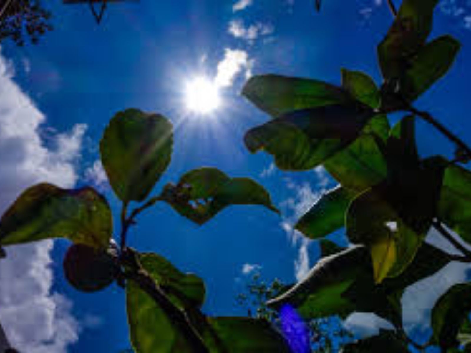 Καιρός Κλέαρχος Μαρουσάκης: Τι καιρό θα έχουμε στον Επιτάφιο και την Ανάσταση