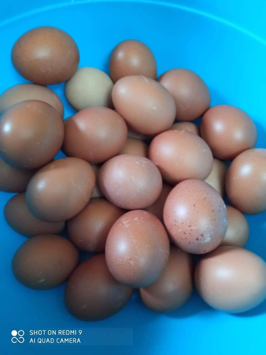 490908473_9569668003109343_6714237763794406324_n