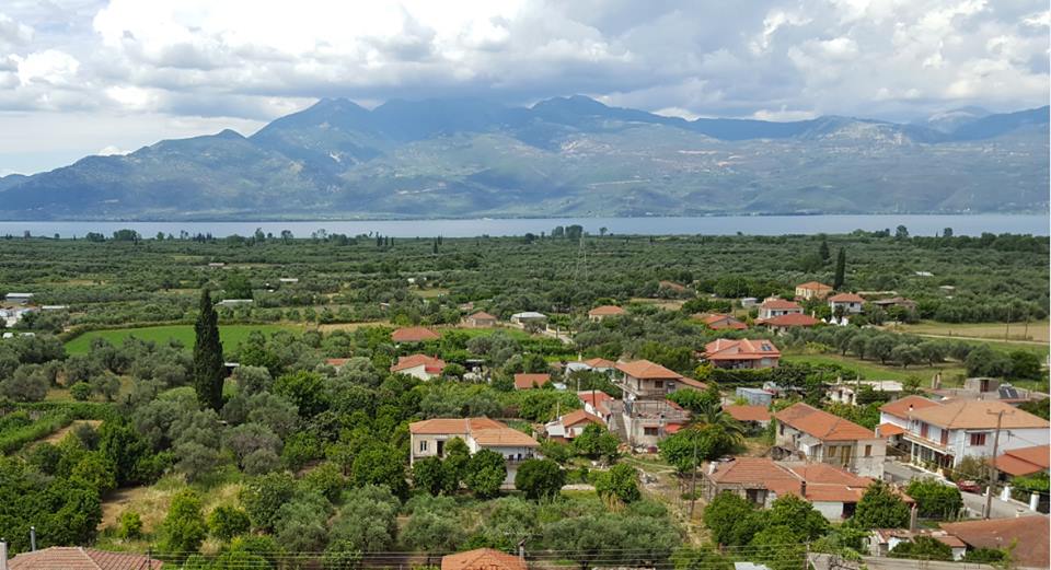 Η διαβολική πεθερά που δολοφόνησε τον γαμπρό της με παραθείο στη φασολάδα επειδή δεν έδινε πίσω τη προίκα