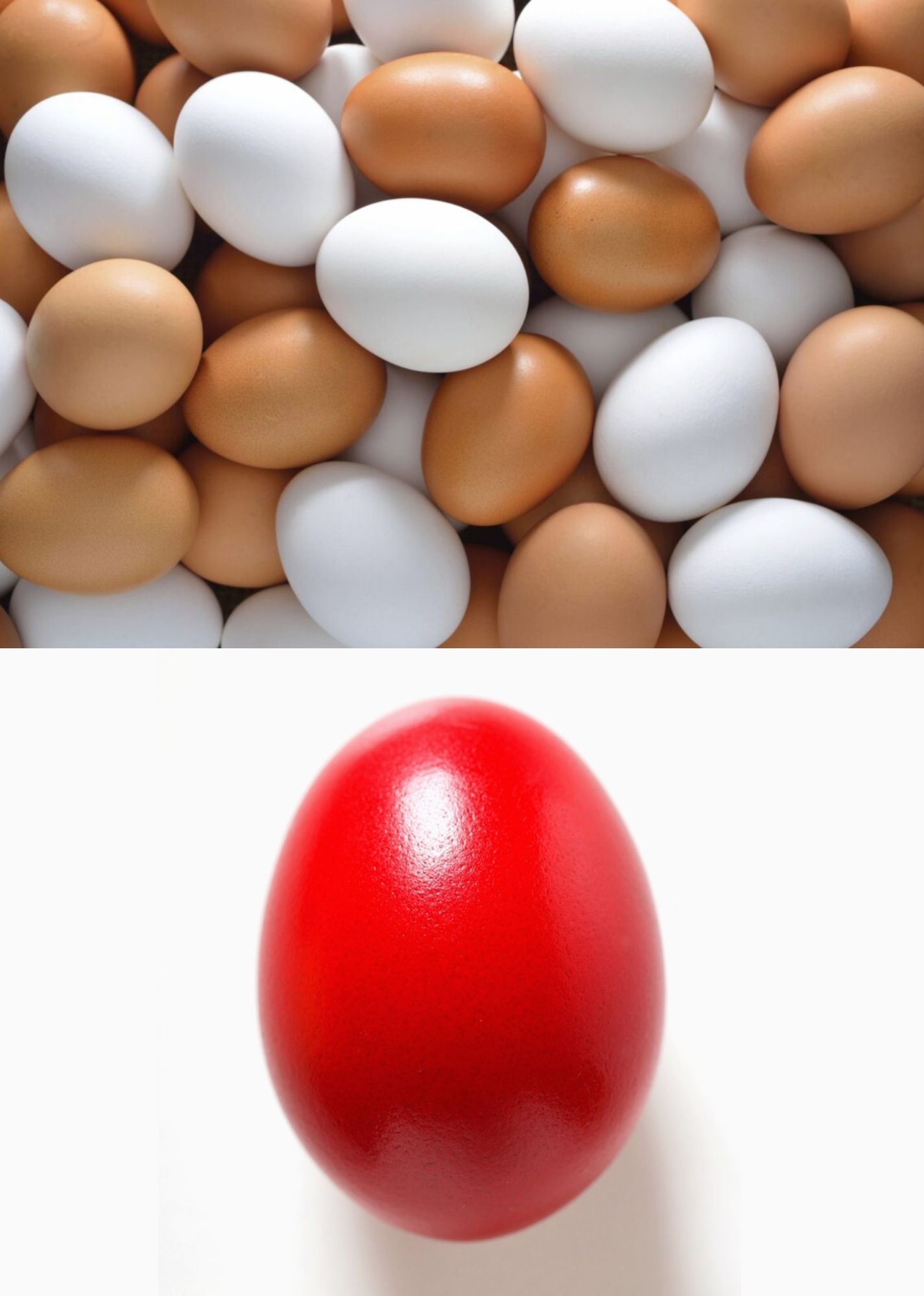 Ποια αυγά βάφονται καλύτερα κόκκινα, τα άσπρα ή τα καφέ;