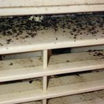 Πως τα φαινομενικά αθώα κλιματιστικά μπορούν να μας οδηγήσουν μέχρι και στο θάνατο