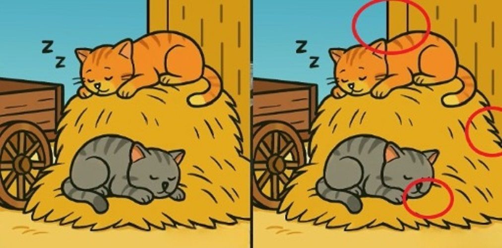 Τεστ παρατηρητικότητας: Βρες αυτές τις 3 διαφορές σε 11 δευτερόλεπτα και κέρδισε το στοίχημα με τη παρέα