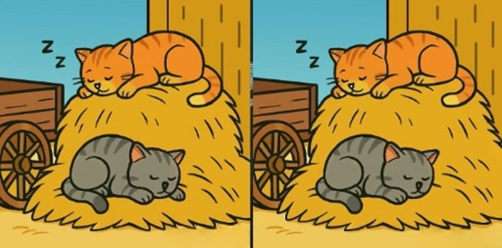 Τεστ παρατηρητικότητας: Βρες αυτές τις 3 διαφορές σε 11 δευτερόλεπτα και κέρδισε το στοίχημα με τη παρέα