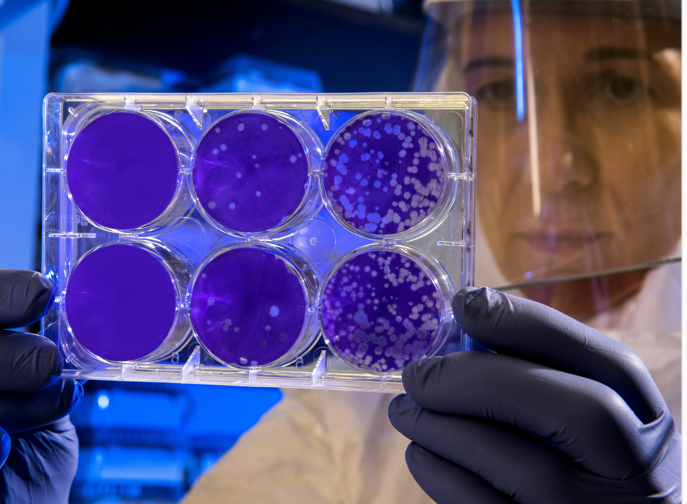 Οι Επιστήμονες κρούουν το κώδωνα κινδύνου για θανατηφόρο παράσιτο που σαρώνει την Ευρώπη