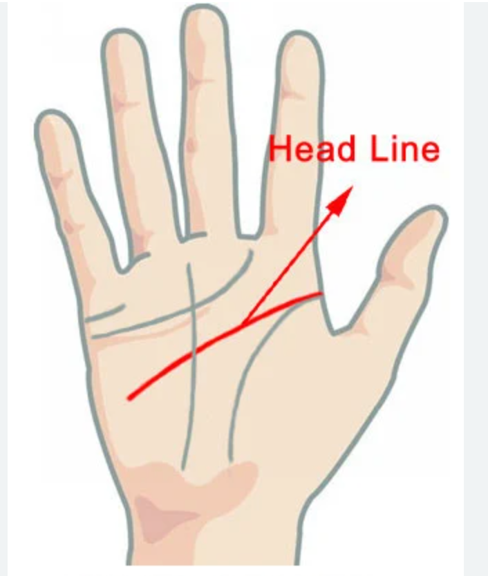 Η Χειρομαντεία θα σε βοηθήσει να μάθεις για όλη σου τη ζωή- Τα κόλπα που θα σε κάνουν να μάθεις τα πάντα για το μέλλον σου