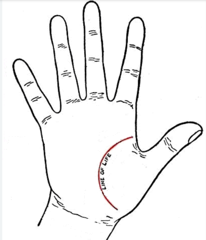 Η Χειρομαντεία θα σε βοηθήσει να μάθεις για όλη σου τη ζωή- Τα κόλπα που θα σε κάνουν να μάθεις τα πάντα για το μέλλον σου