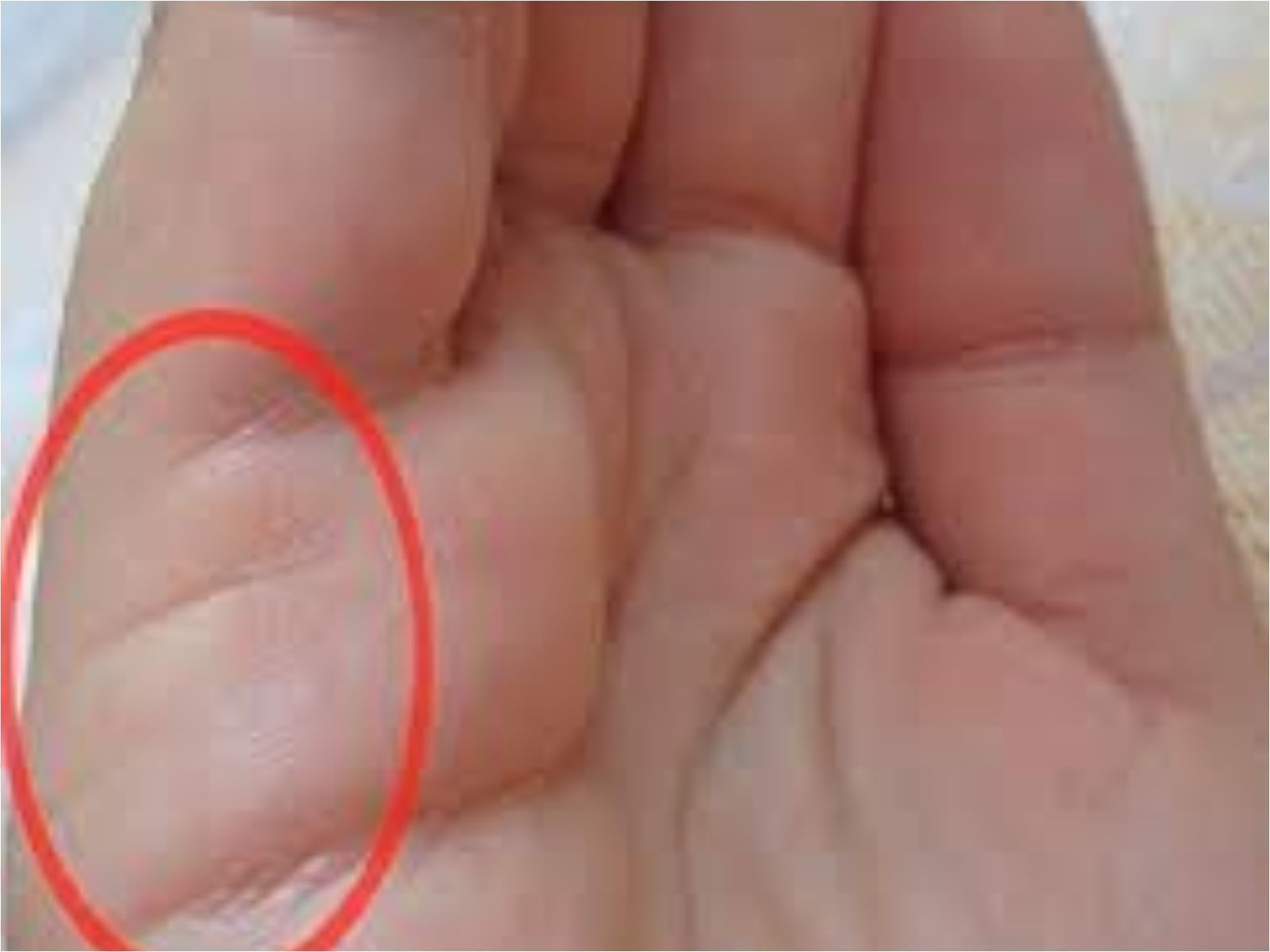 Μάθε για όλη σου τη ζωή κοιτάζοντας απλά το χέρι σου- Τα κόλπα που θα σε κάνουν να γνωρίσεις το μέλλον σου