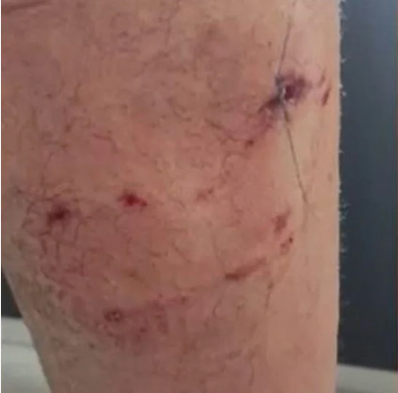 Screenshot - 2025-05-07T072934.897