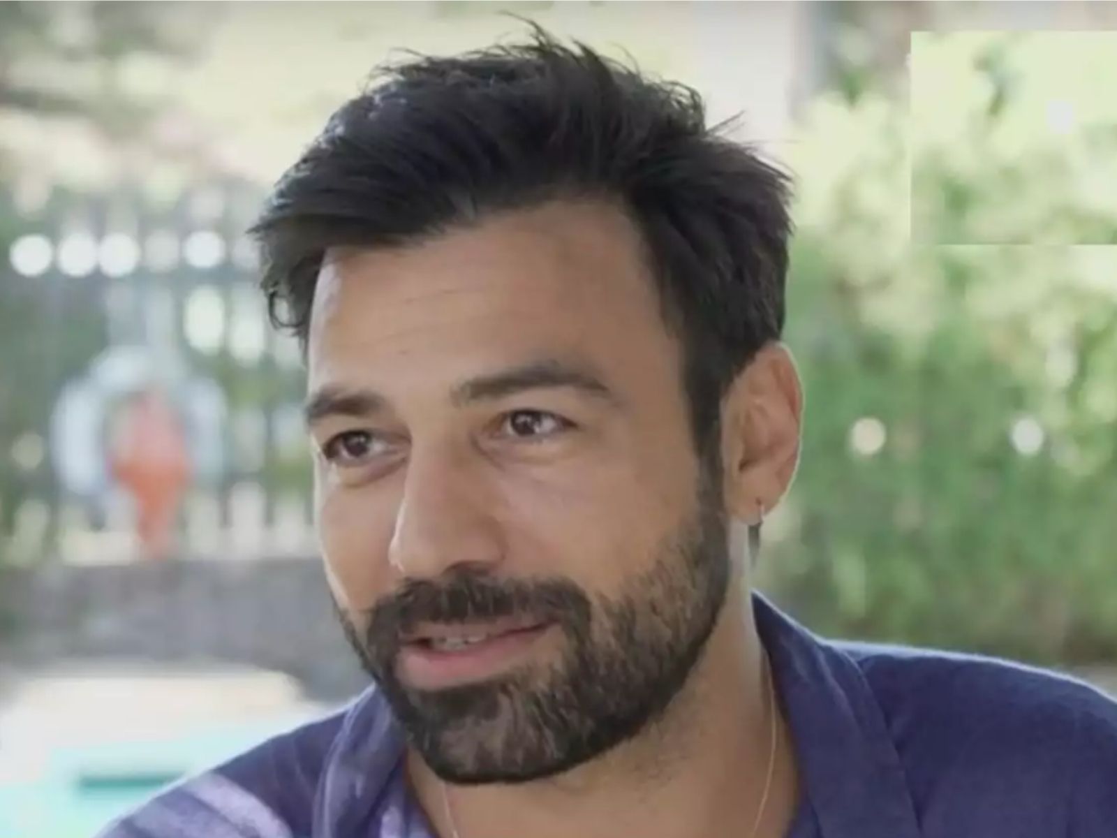 Η-Γη-της-Ελιάς-Στέφανος- Η-Γη-της-Ελιάς-Στέφανος-