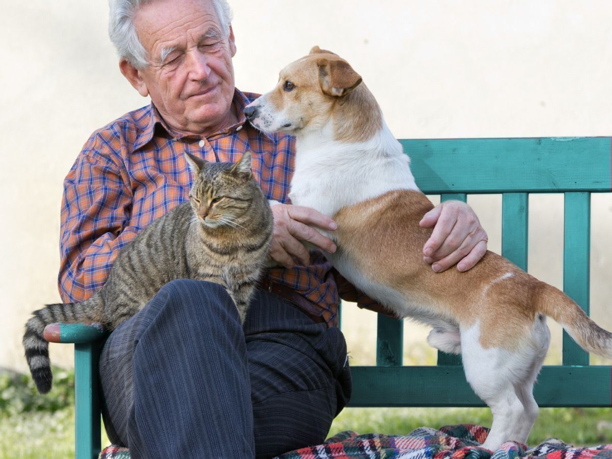 Κι όμως τα κατοικίδια μπορεί να έχουν φοβερές θεραπευτικές ιδιότητες στους ηλικιωμένους