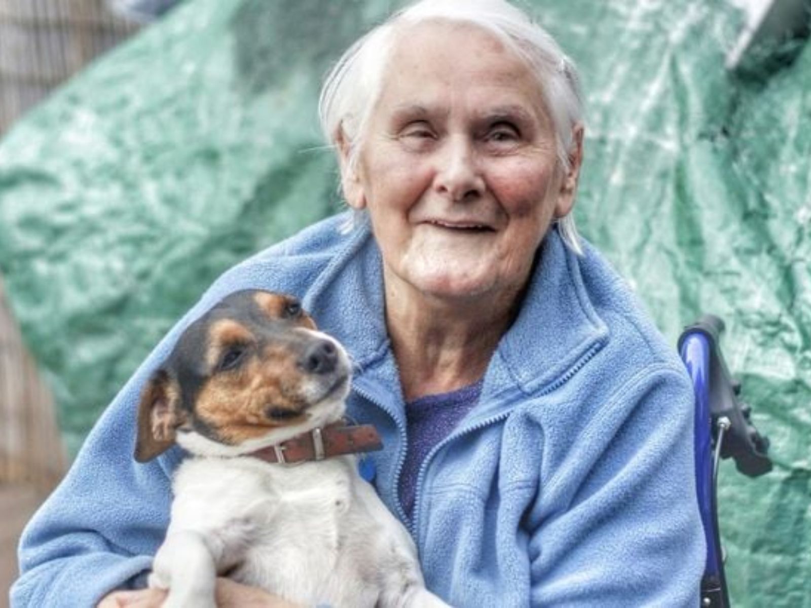 Κι όμως τα κατοικίδια μπορεί να έχουν φοβερές θεραπευτικές ιδιότητες στους ηλικιωμένους