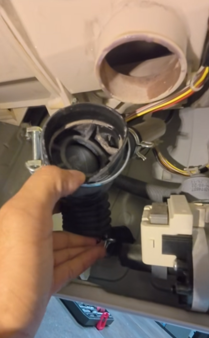 Τα πιο βρώμικα σημεία του πλυντηρίου που λερώνουν τα ρούχα και το κάνουν να βρωμάει – Πώς να τα καθαρίσεις