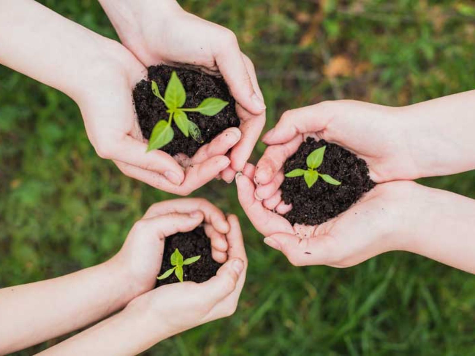Ανακύκλωση κι άλλες 14 συνήθειες που αν τις υιοθετήσουμε θα σώσουμε τον πλανήτη